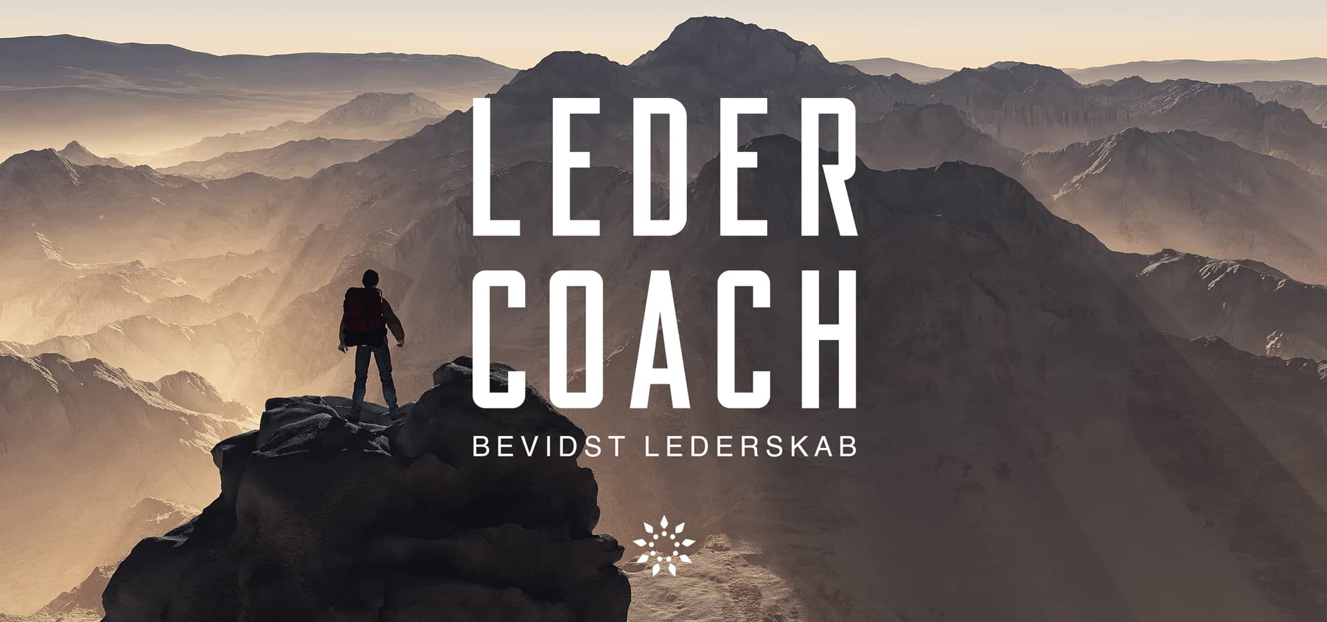 Mindjuice Ledercoachuddannelse