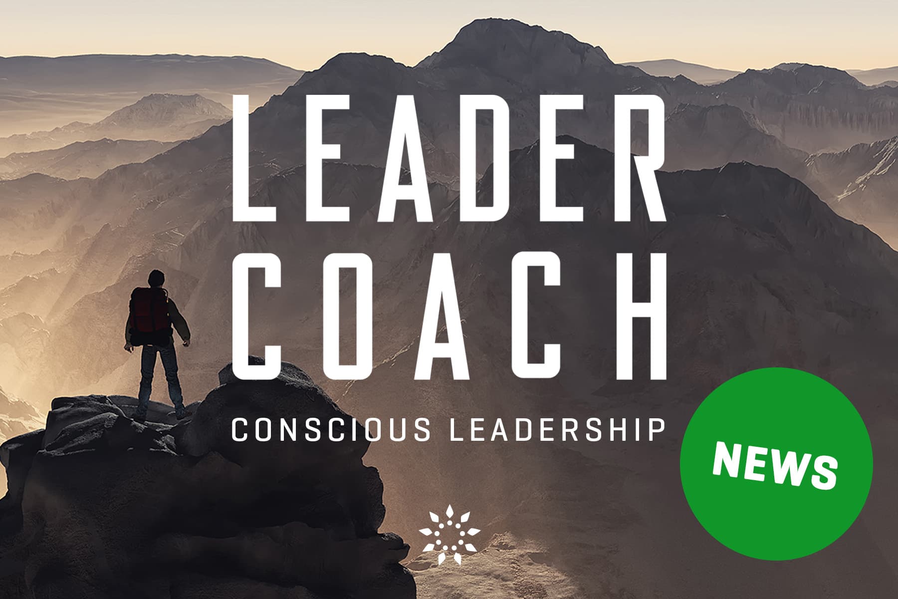 MINDJUICE LEADER COACH EDUCATION