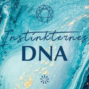 Mindjuice Enneagram kursus | Instinkternes DNA