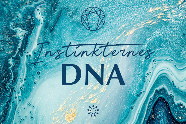 Mindjuice Enneagram kursus | Instinkternes DNA