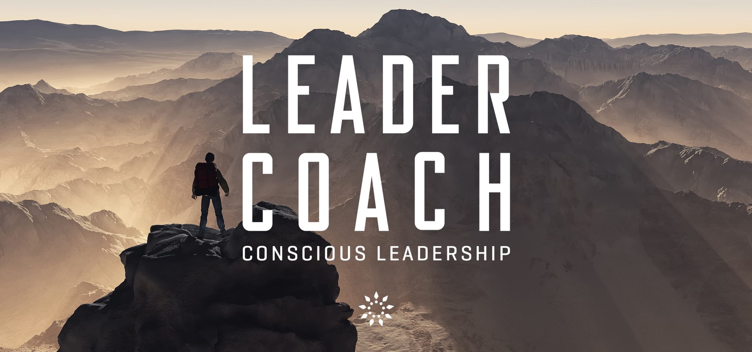MINDJUICE LEADER COACH EDUCATION