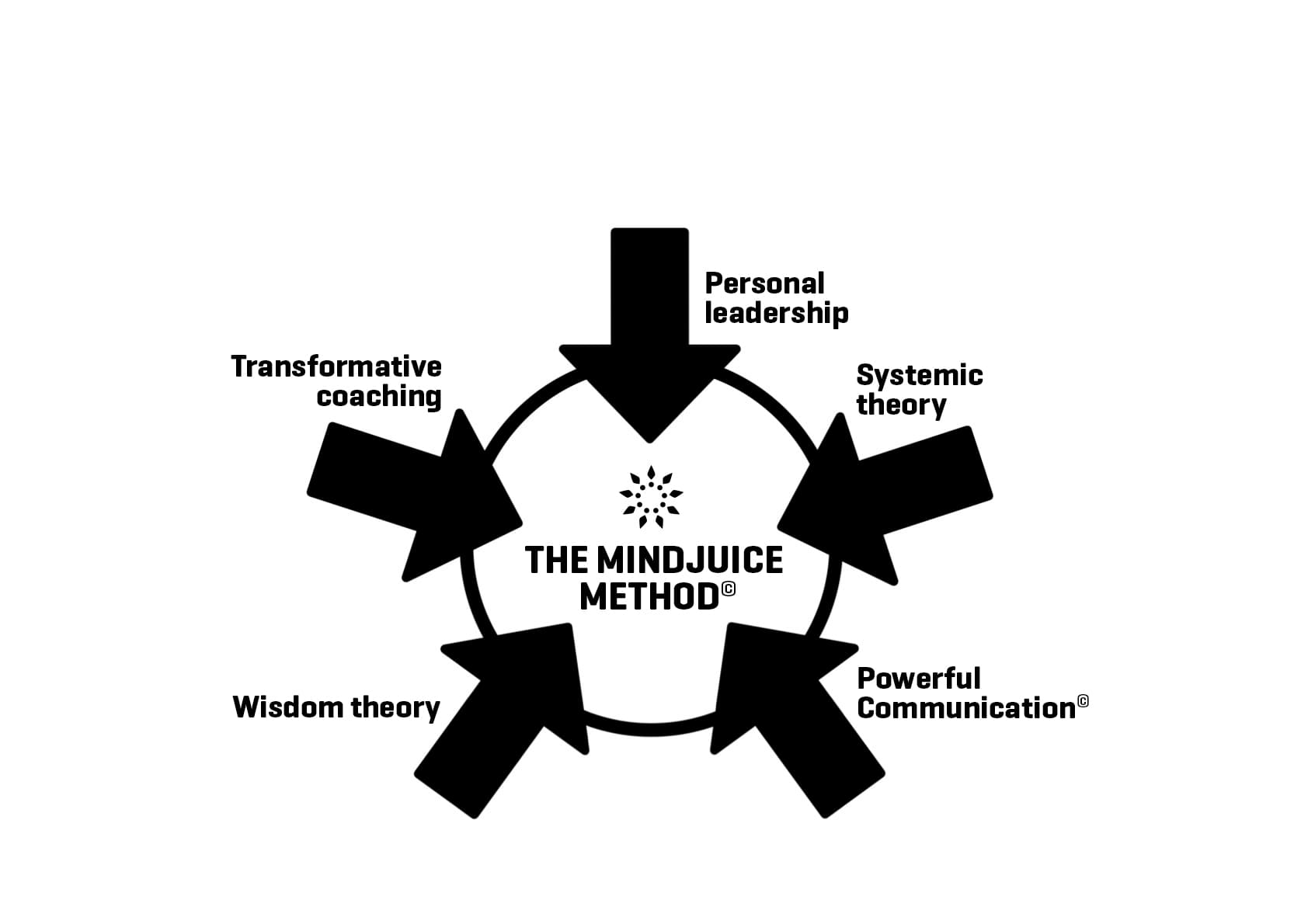 The Mindjuice Method