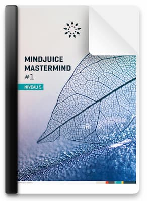Mindjuice Mastermind Program